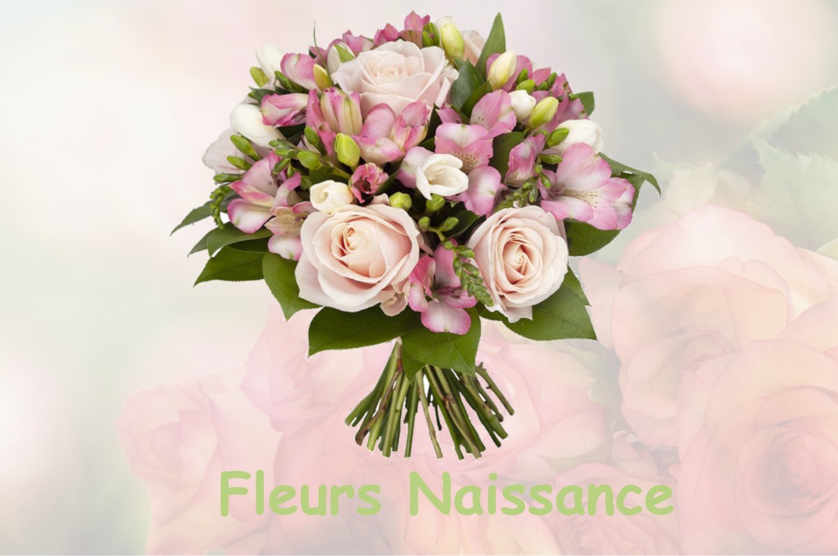 fleurs naissance NEUREY-LES-LA-DEMIE